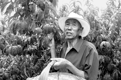 甘肃农村低保问题面面观