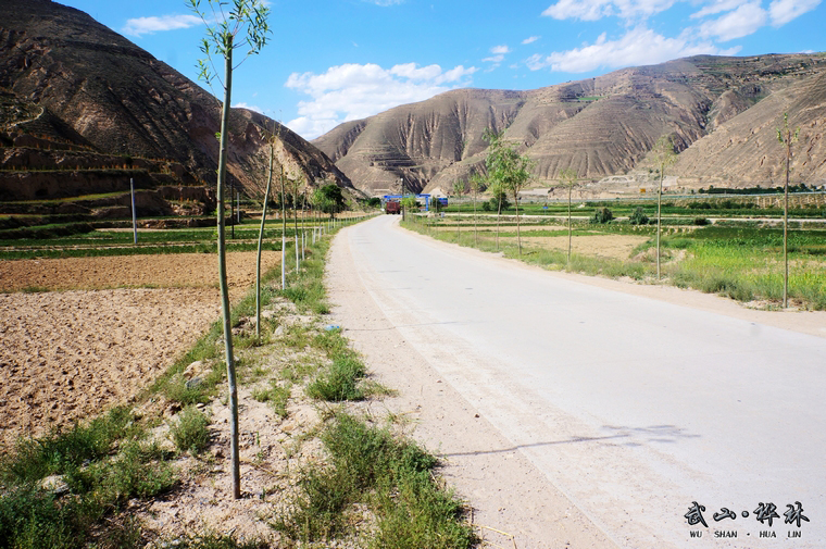 天水桦林乡:狠抓主导产业发展 建设美丽乡村\/图