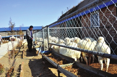 兰州双联行帮扶15万农村人口脱贫