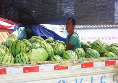秋老虎烧热瓜市场 售价和销量稳定 本地瓜错