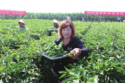 兰州西固区凝心聚力推动经济社会转型升级跨越