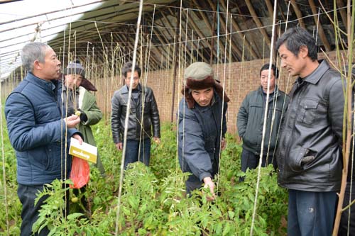 玉门市柳湖乡人口_玉门市柳湖乡对农户开展网络科技培训(2)