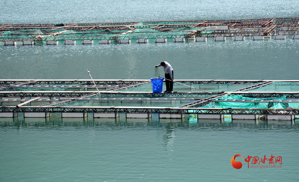 收入证明_科学养殖提高农民收入(3)