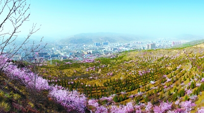 定西通渭县城南北两山松柏吐翠桃花盛开（图）