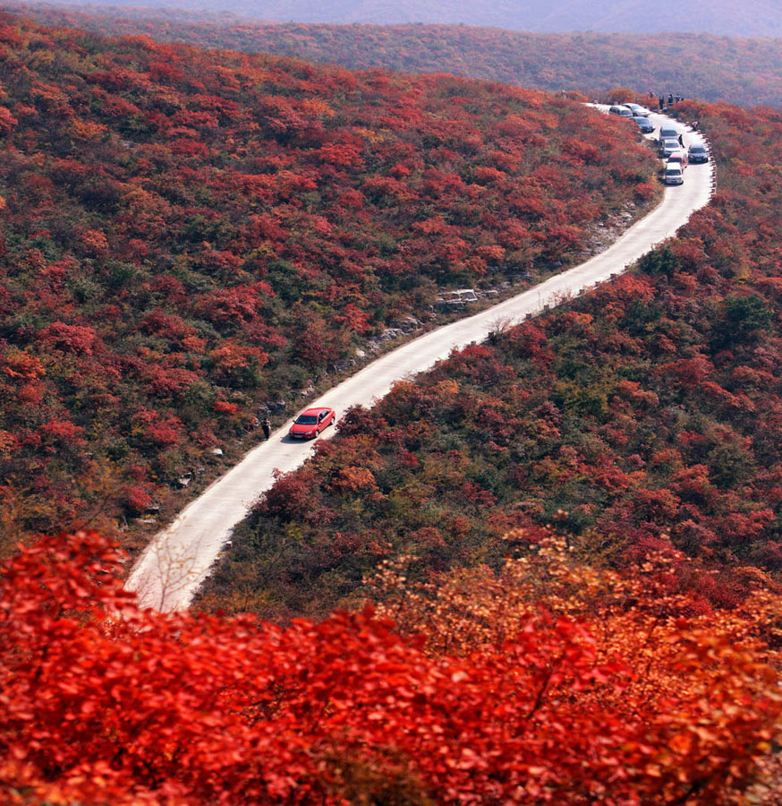 北方三峡--青天河__中国甘肃网