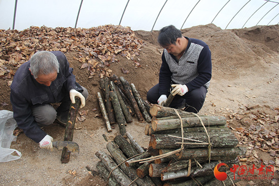 中国甘肃网-甘肃省委、省政府最大综合性新闻