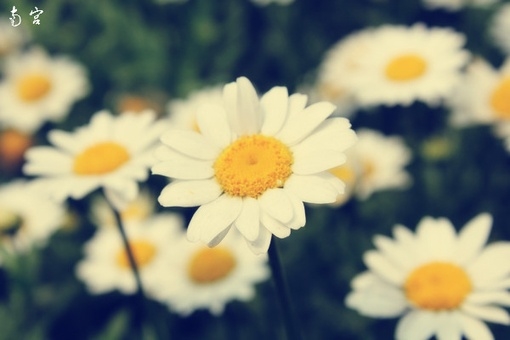 英语单词巧记 与人体相关考研词根五十个