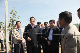 庆阳市委书记栾克军在镇原县调研时强调 引导群众创新带领群众实干高清图片