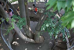 探访日本富士幼儿园