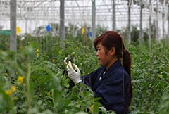 甘肃省将着力提高农药利用率