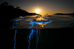 摄影师记录水波下的世界