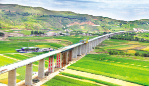 关于宝兰客专太碌大沟中桥贝雷粱支架结构施工技术的电大毕业论文范文