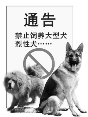 兰州市人大常委会审议养犬管理条例(草案) 城市