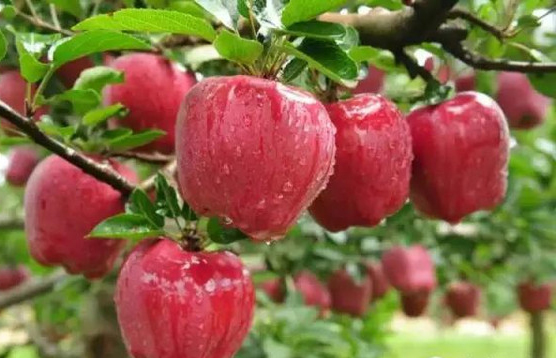 甘肃经济信息频道