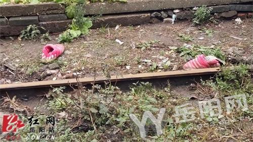 湖南岳阳内线铁路旁现一女尸 疑被火车撞成两段