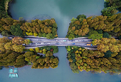 寒潮来袭杭州西湖开启最美“七彩深秋”