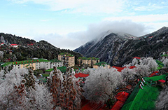 庐山一夜银妆素裹玉树琼花