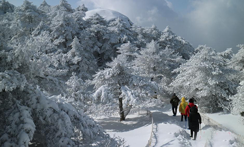 安徽黄山40厘米积雪遇日出云海 美若童话世界