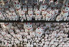 日本一寺庙展出成千上万“招财猫”