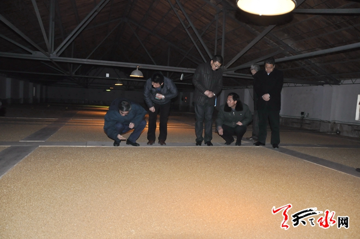 国家粮食局副局长调研天水储粮 天水粮食总产