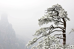 浙江神仙居景区雪后如画