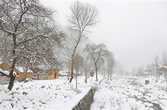 天水降雪银装素裹（图）