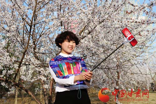 临夏永靖县:阳光明媚景色秀 踏春赏花正当时