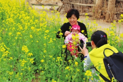 敦煌市桃花与油菜花竞相盛开