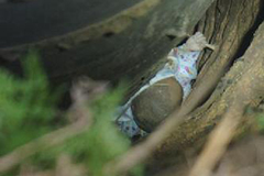 2岁幼童坠落井旁夹缝