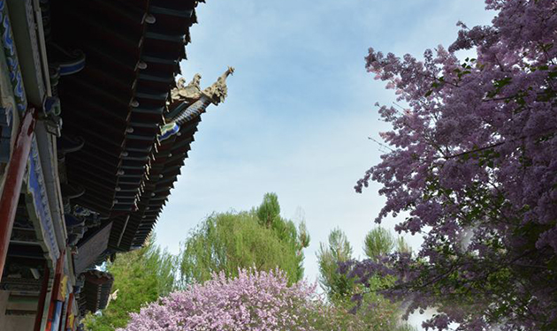 西汉酒泉圣迹——跨越二千多年历史的中国园林