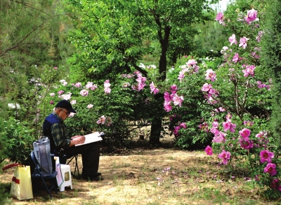 千亩园区搞旅游 兰州新区牡丹风风光光闯欧洲（图）