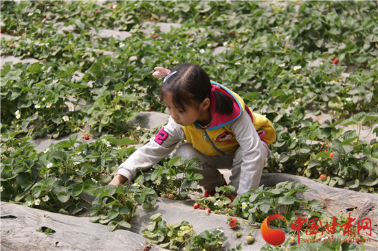 五一小长假 来兰州新区精品一日游!(图)__中国