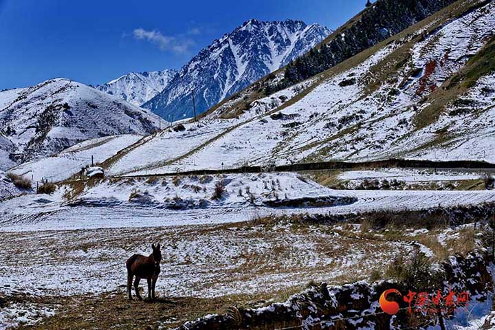 甘肃张掖 春日祁连山雪景引人醉【高清组图】一