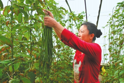 酒泉市精准扶贫精准脱贫纪实