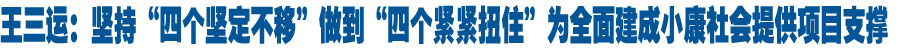 王三运：坚持“四个坚定不移”做到“四个紧紧扭住”切实为全面建成小康社会提供有力项目支撑