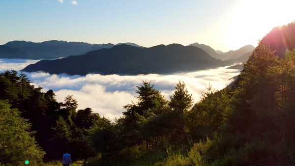 中国甘肃网-甘肃省委、省政府最大综合性新闻