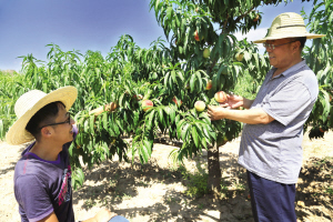 图解:速来围观↓↓发现社保基金有猫腻 可直接