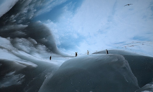 实拍世界最古老冰山 已冻结3万余年