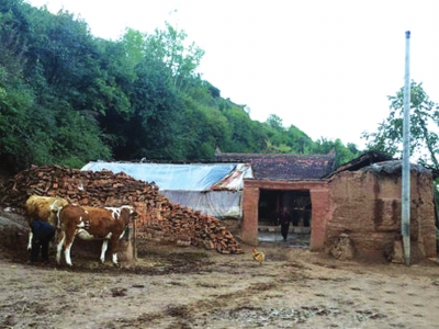 甘肃GDP年年倒数_甘肃地图(3)