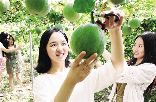 海南省文昌乡村民俗资源旅游_论文引用互联网资源_旅游资源论文