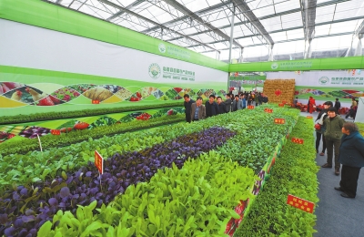 甘肃临夏国家农业科技园区揭牌(图)