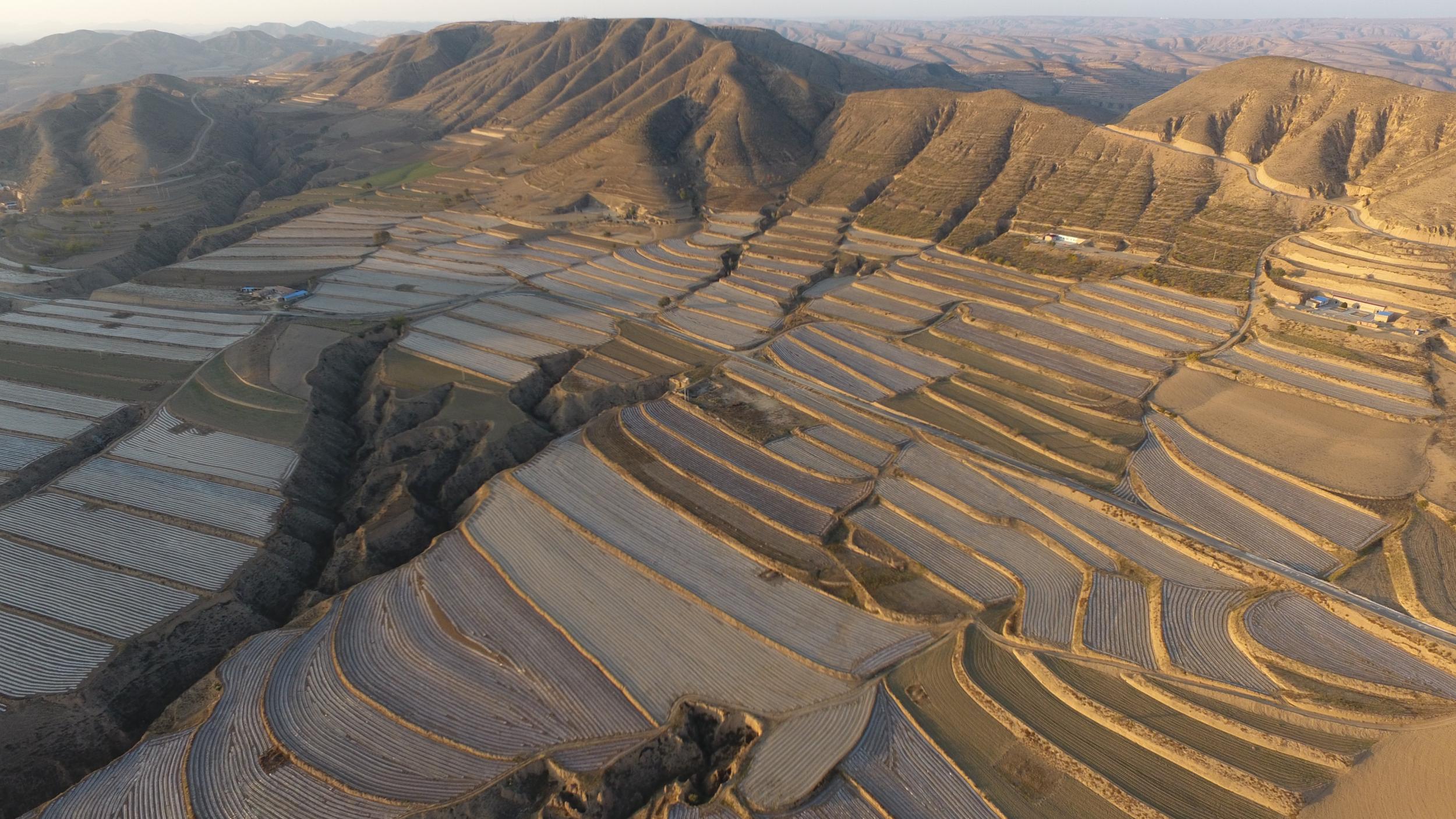 庆阳环县山城乡八里铺村秋覆膜工作有序推进(