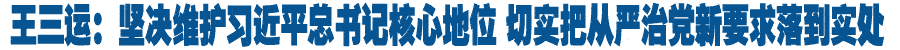 王三运：坚决维护习近平总书记核心地位 切实把从严治党新要求落到实处