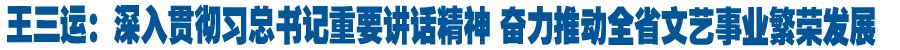 王三运：深入贯彻习总书记重要讲话精神 奋力推动全省文艺事业繁荣发展