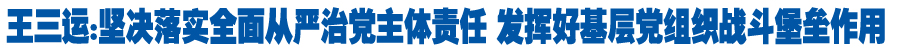 王三运：坚决落实全面从严治党主体责任 发挥好基层党组织战斗堡垒作用