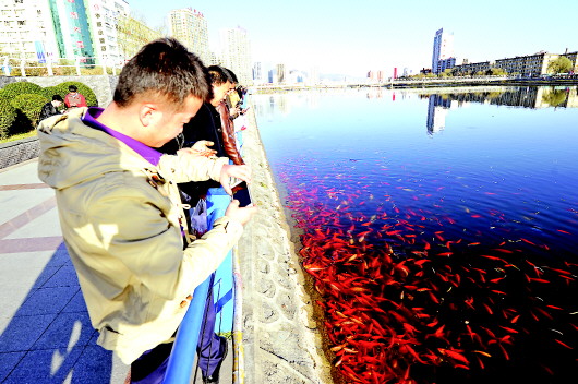 天水市气温回暖 市民纷纷走出户外享受冬日暖阳（图）