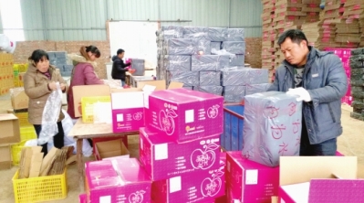 陇南礼县永兴镇捷地村电商户员工在包装苹果准备外销（图）