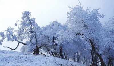 天水张家川关山古道现雾凇奇观（图）