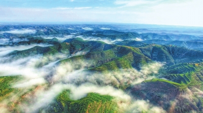 庆阳子午岭林区桂花园林场鸟瞰（图）