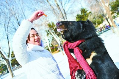 北京野生动物园春节期间开 庙会